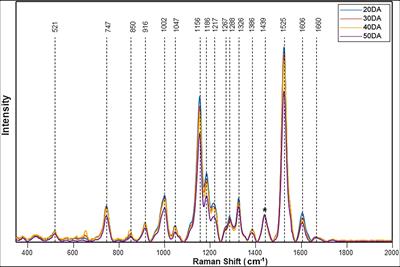 Raman Spectroscopy Detects Changes in Carotenoids on the Surface of Watermelon Fruits During Maturation